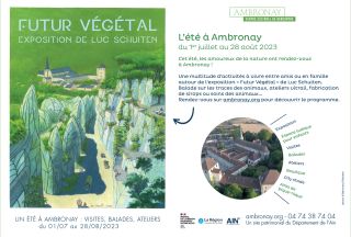 Un été à Ambronay : découvrez l'exposition Futur végétal